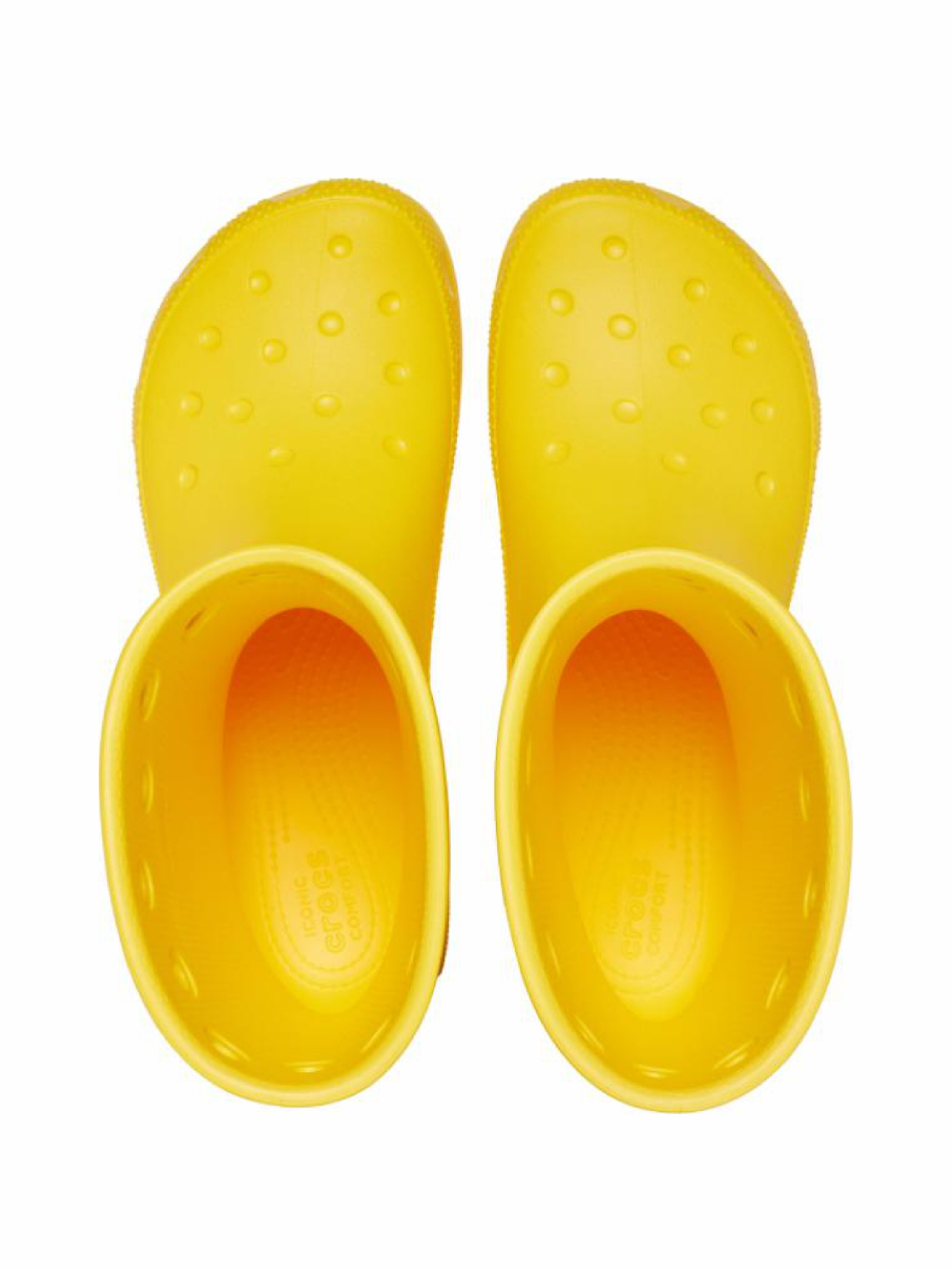 Сапоги резиновые Crocs модель 208363SUN Фото