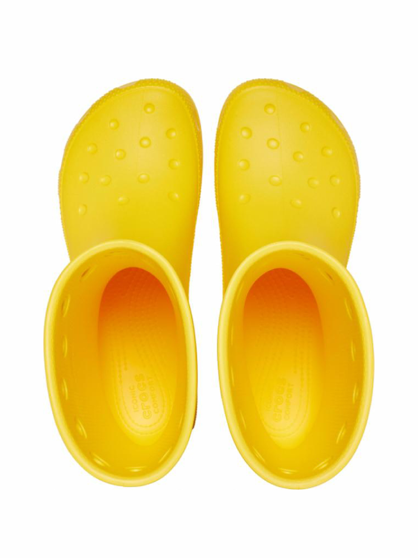 Сапоги резиновые Crocs модель 208363SUN Фото