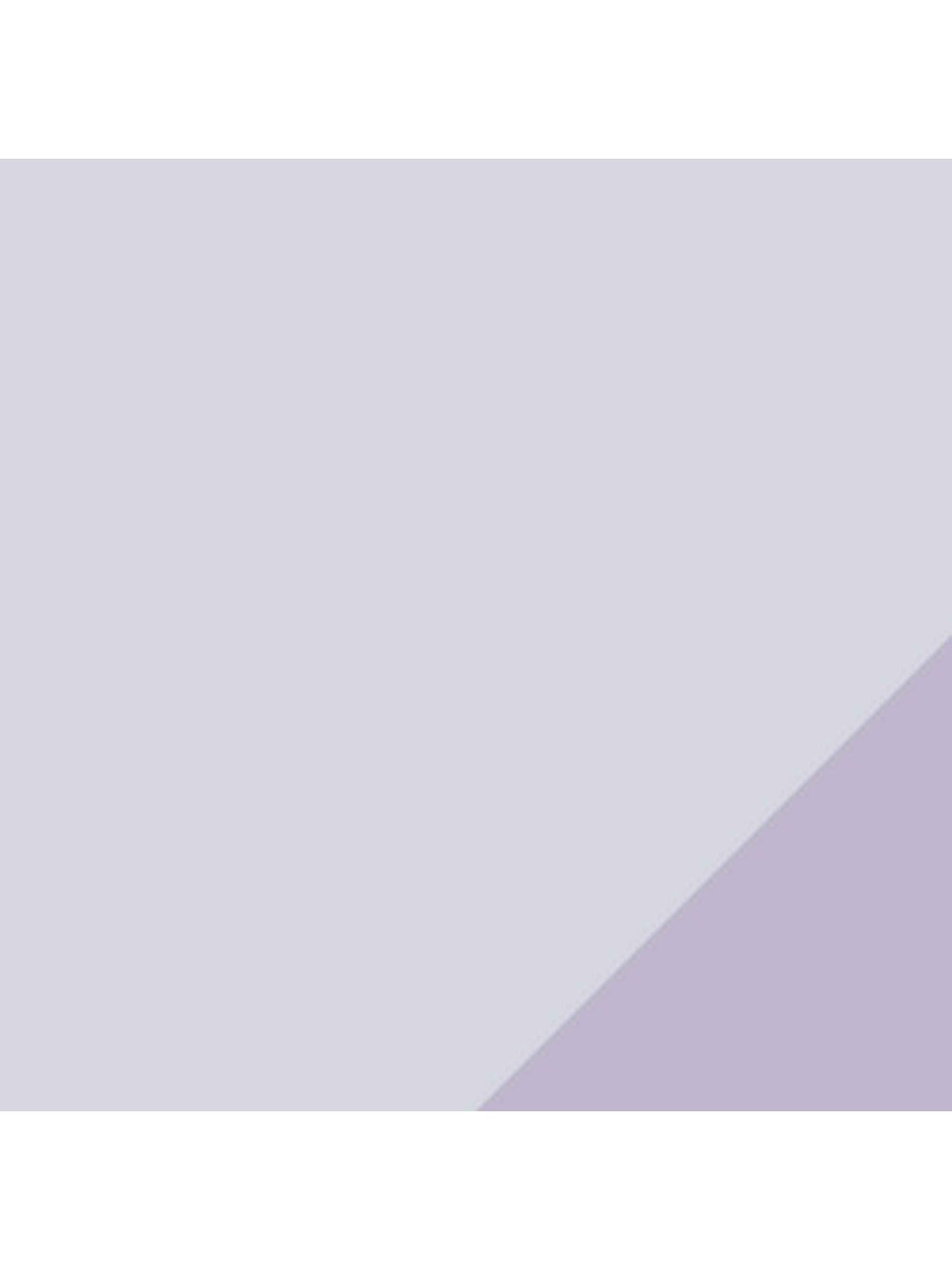 Набор носков PUMA Women Footie 2P модель 907977 Фото