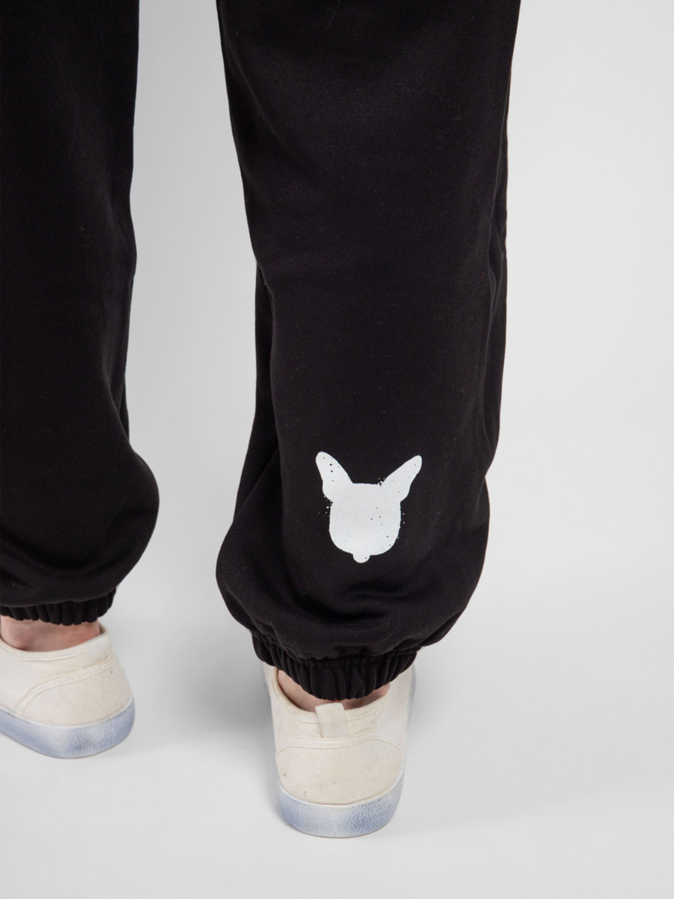 Спортивні штани J.B4 (Just Before) модель 4WG0402 Спортивні штани J.B4 (Just Before) модель 4WG0402 Фото