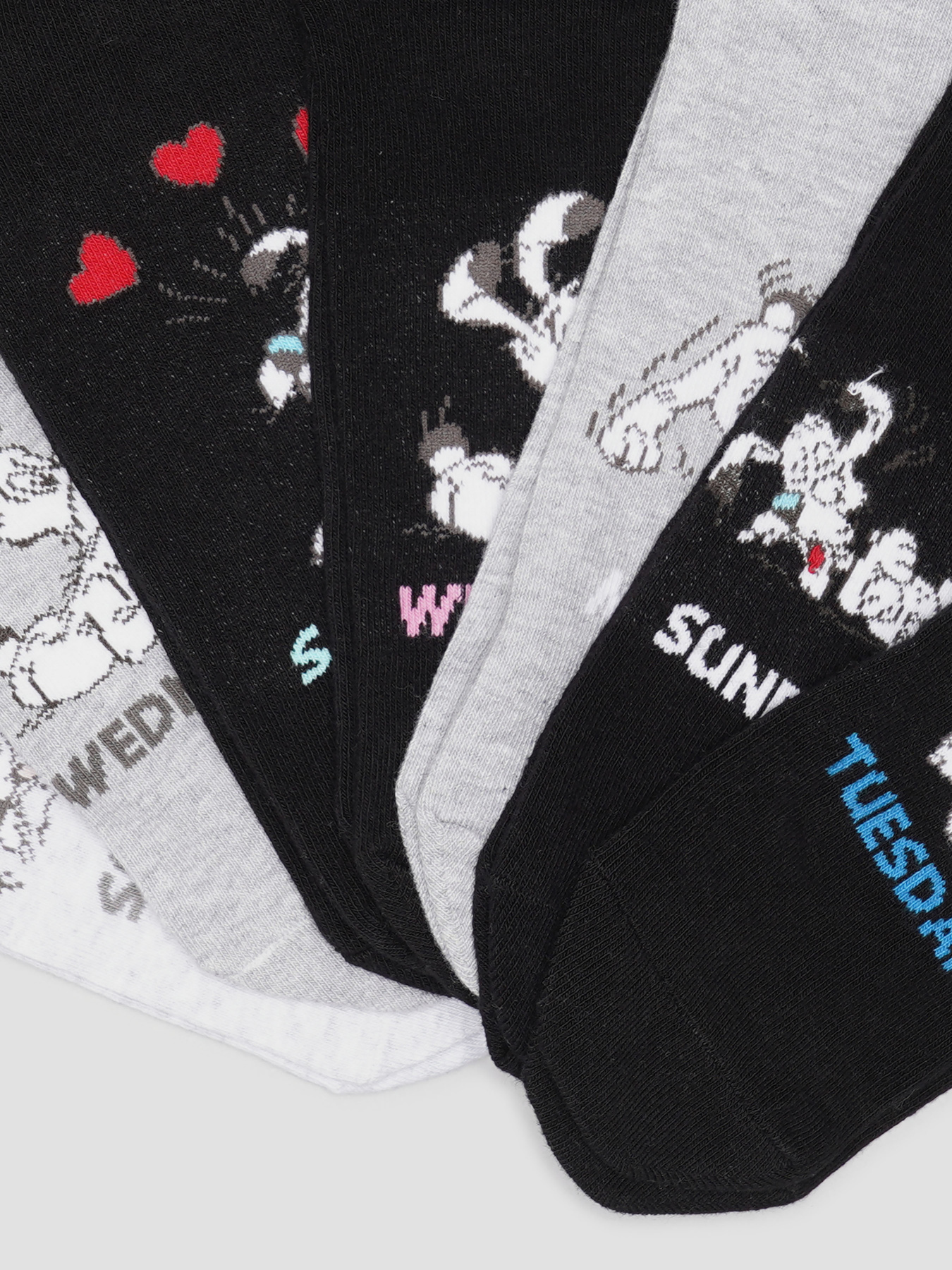 Набор носков C&A модель 61392 Набор носков C&A модель 61392 Фото