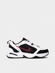 Кроссовки NIKE модель 415445-101 Фото