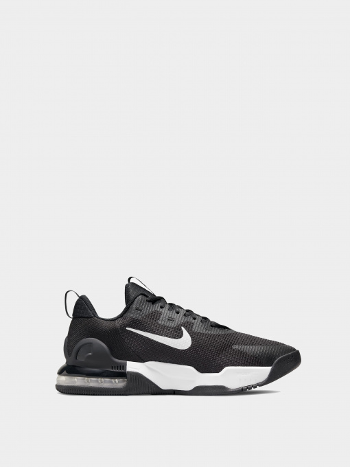 Кроссовки NIKE модель DM0829-001 Фото