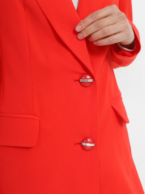 Піджак Danna модель 3035RD Фото