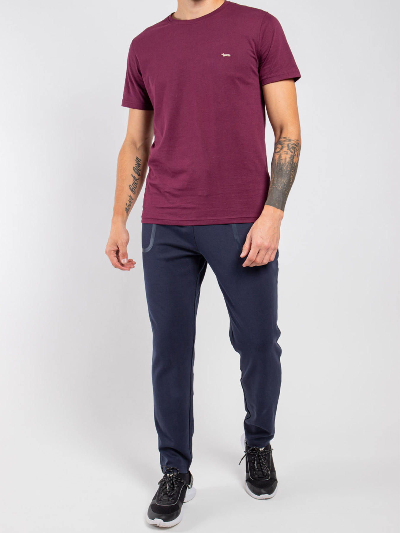 Спортивні штани Harmont&Blaine модель FRI097021168_801 Спортивні штани Harmont&Blaine модель FRI097021168_801 Фото