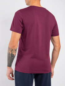 Футболка Harmont&Blaine модель INI001021055_537 Фото