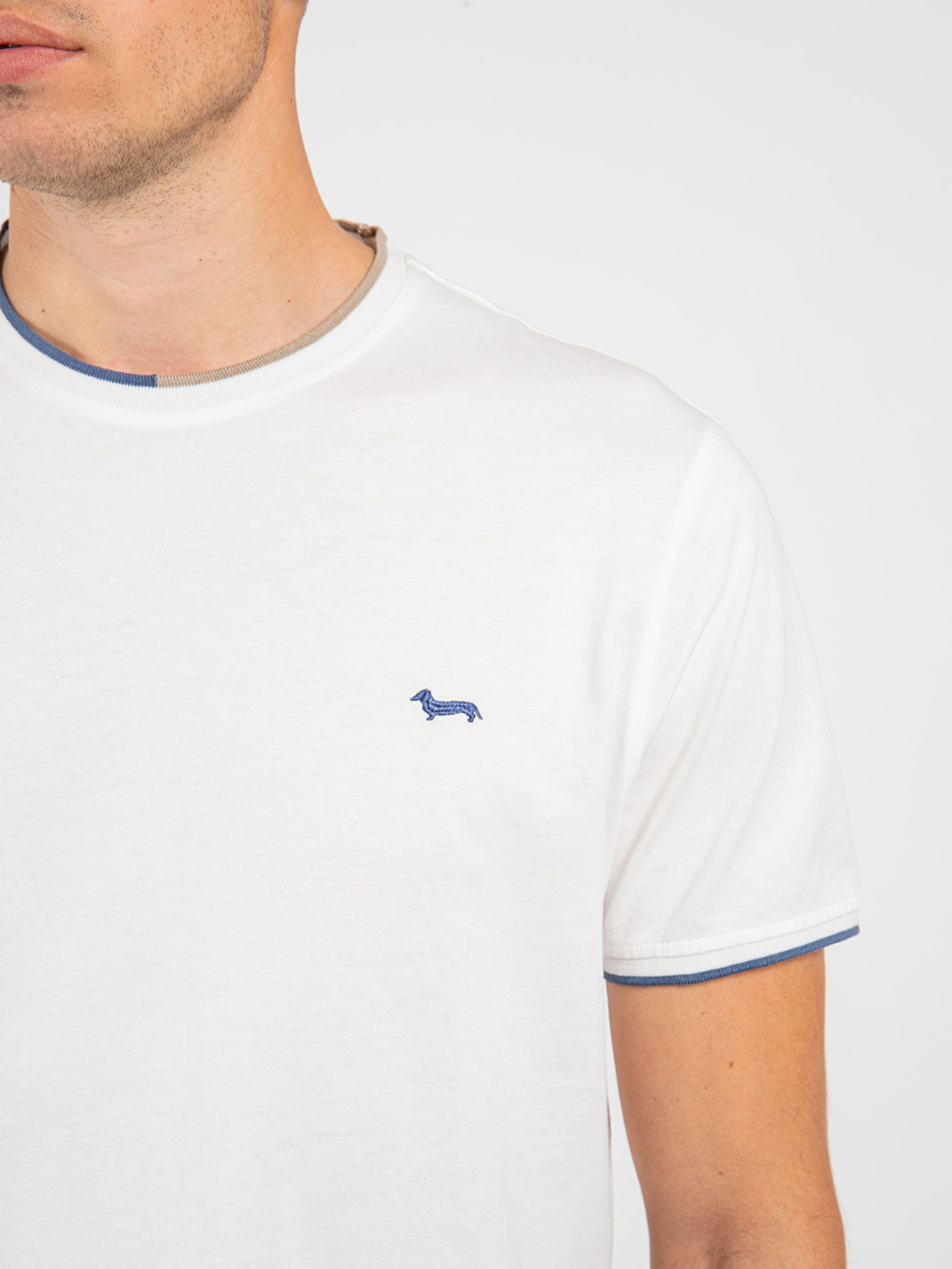 Футболка Harmont&Blaine модель IRI179021196_106 Фото