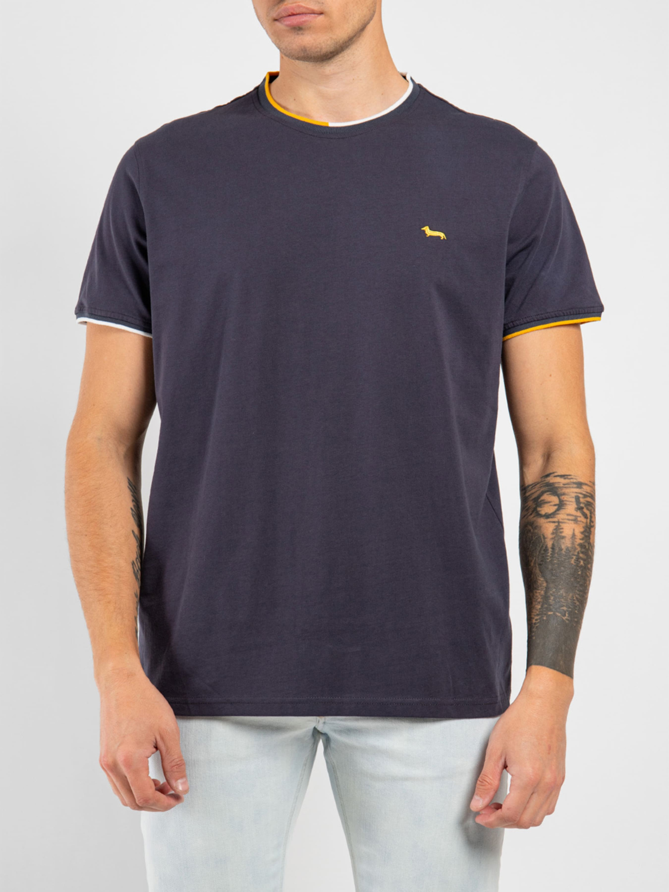 Футболка Harmont&Blaine модель IRI179021196_801 Фото