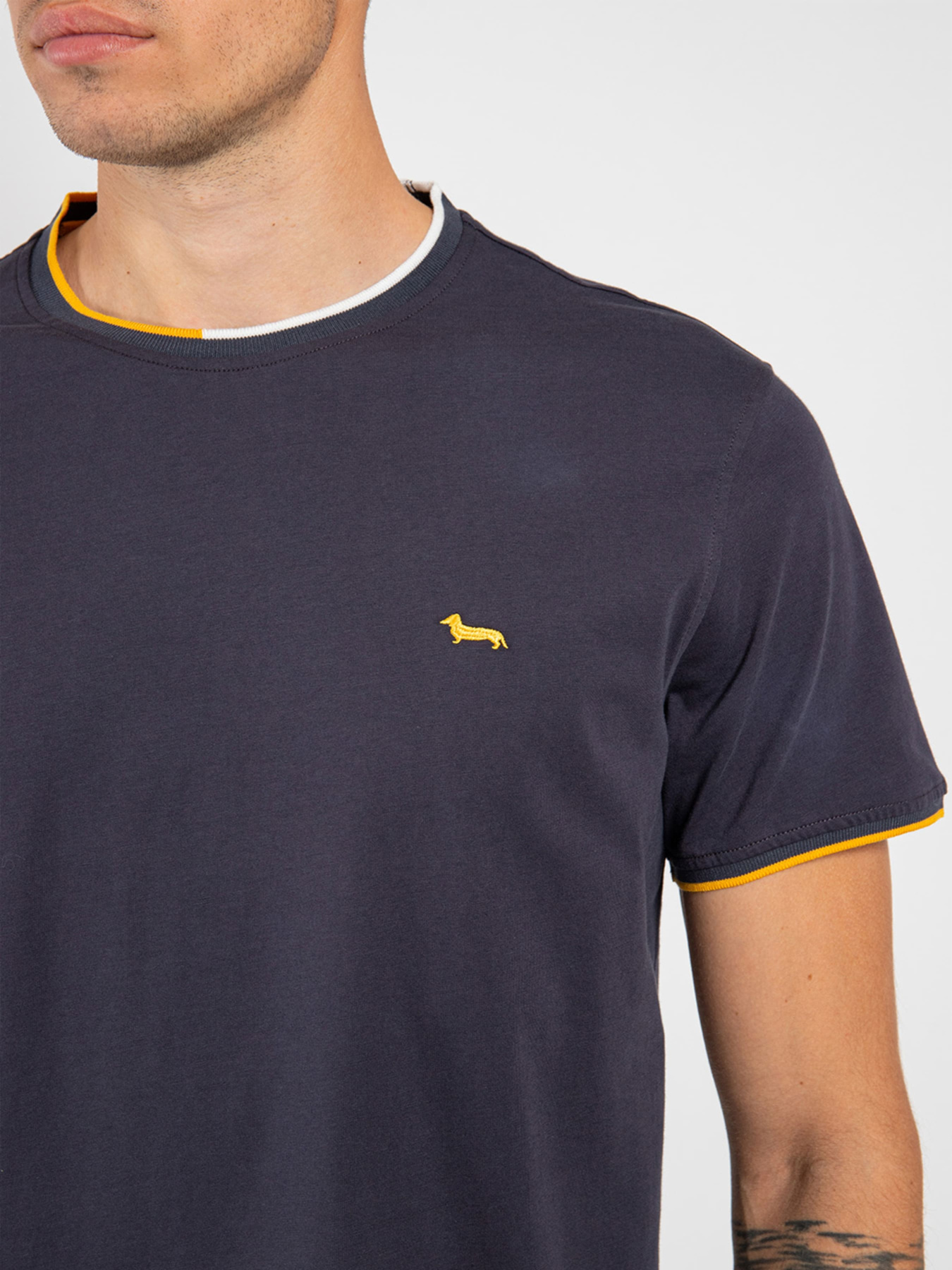 Футболка Harmont&Blaine модель IRI179021196_801 Фото