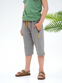 Повсякденні шорти ISSA Plus модель GCD1-02_grey Фото