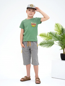 Повсякденні шорти ISSA Plus модель GCD1-02_grey Фото