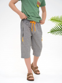 Повсякденні шорти ISSA Plus модель GCD1-02_grey Фото