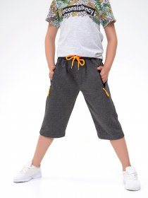 Шорти ISSA Plus Модель GCD1-02_darkgray Фото