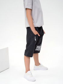 Повсякденні шорти ISSA Plus модель GCD1-04_darkgray Фото