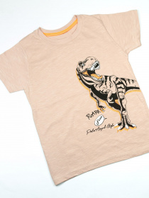 Футболка ISSA Plus модель GCD1-05_beige Фото