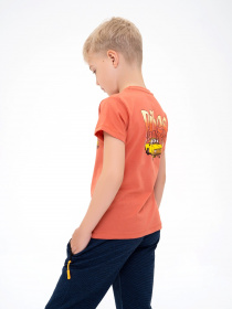 Футболка ISSA Plus модель GCD1-06_terracotta Фото