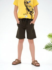 Шорти ISSA Plus Модель GCD1-09_khaki Фото