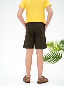 Повсякденні шорти ISSA Plus модель GCD1-09_khaki Фото