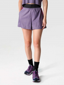 Шорты The North Face модель NF0A7ZY6RK71 Фото