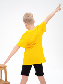 Футболка ISSA Plus модель GCD1-12_yellow Фото