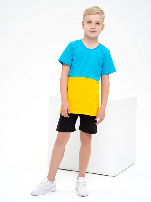 Футболка ISSA Plus модель GCD1-13_yellowblue Фото