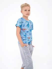 Футболка ISSA Plus модель GCD1-17_lightblue Фото