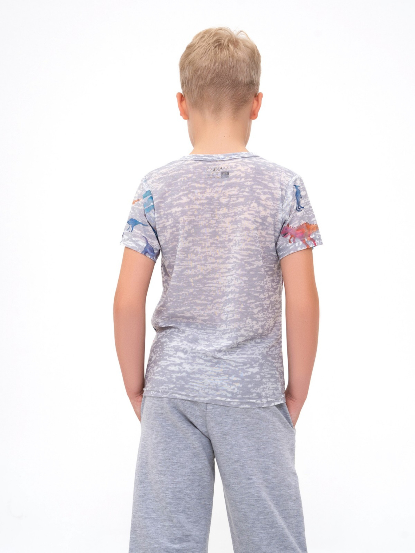 Футболка ISSA Plus модель GCD1-17_grey Фото