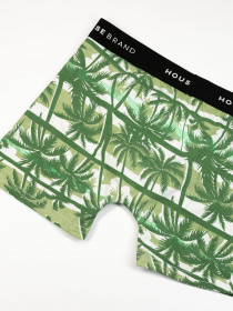 Труси ISSA Plus модель GN5-186_green Фото