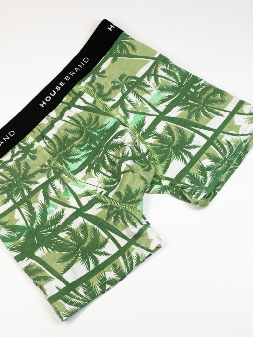 Труси ISSA Plus модель GN5-186_green Фото