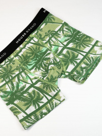 Трусы ISSA Plus модель GN5-186_green Фото