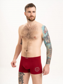 Трусы ISSA Plus модель GN5-195_red Фото