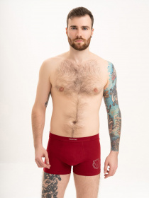 Трусы ISSA Plus модель GN5-195_red Фото