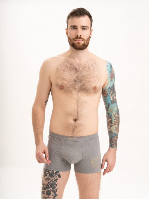 Труси ISSA Plus модель GN5-195_grey Фото