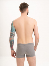 Трусы ISSA Plus модель GN5-195_grey Фото