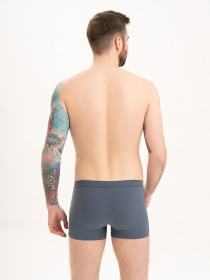 Трусы ISSA Plus модель GN5-200_grey Фото