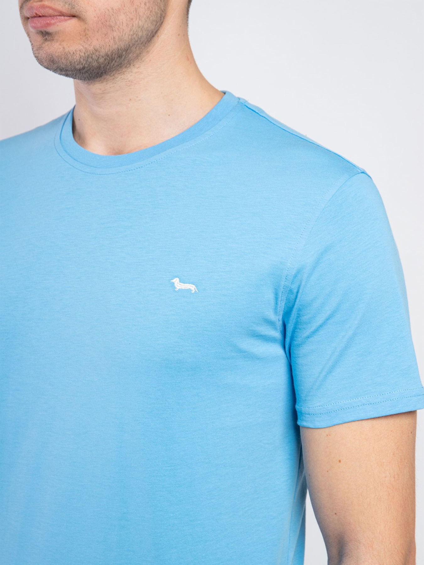 Футболка Harmont&Blaine модель INJ001021223_855 Футболка Harmont&Blaine модель INJ001021223_855 Фото