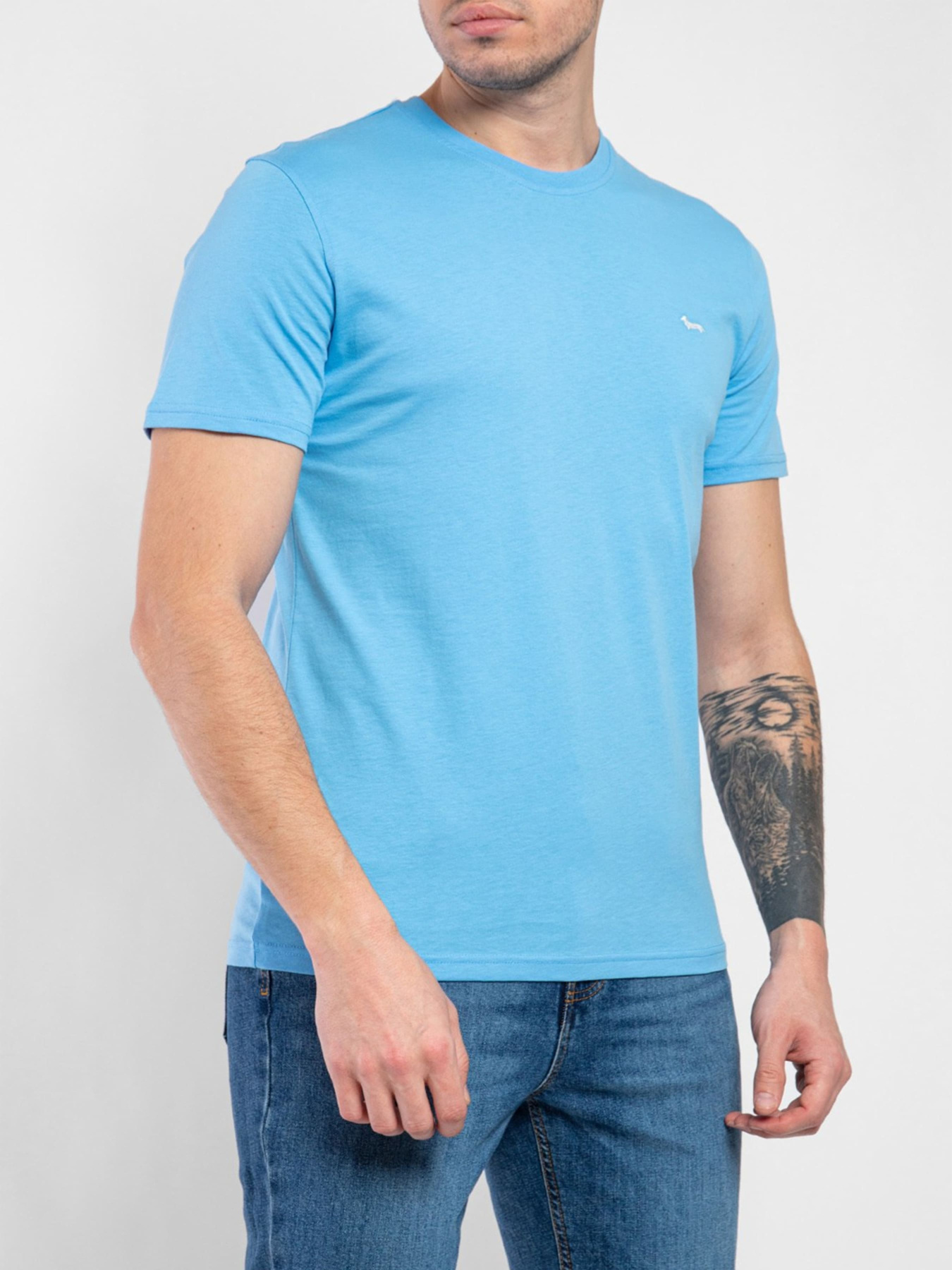 Футболка Harmont&Blaine модель INJ001021223_855 Фото