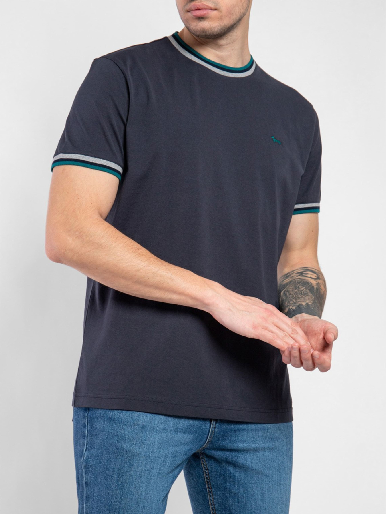 Футболка Harmont&Blaine модель IRJ188021236_801 Фото