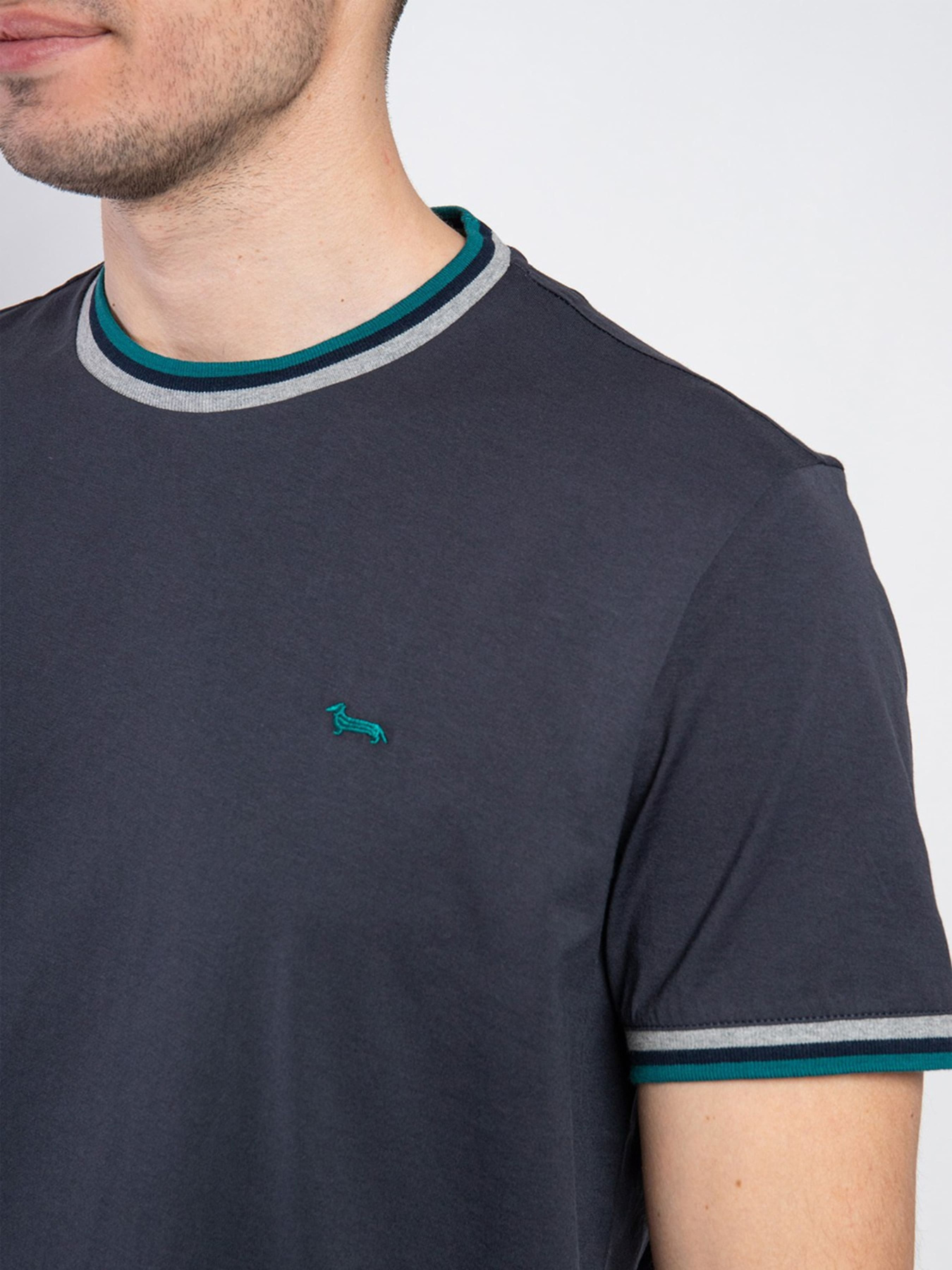 Футболка Harmont&Blaine модель IRJ188021236_801 Фото