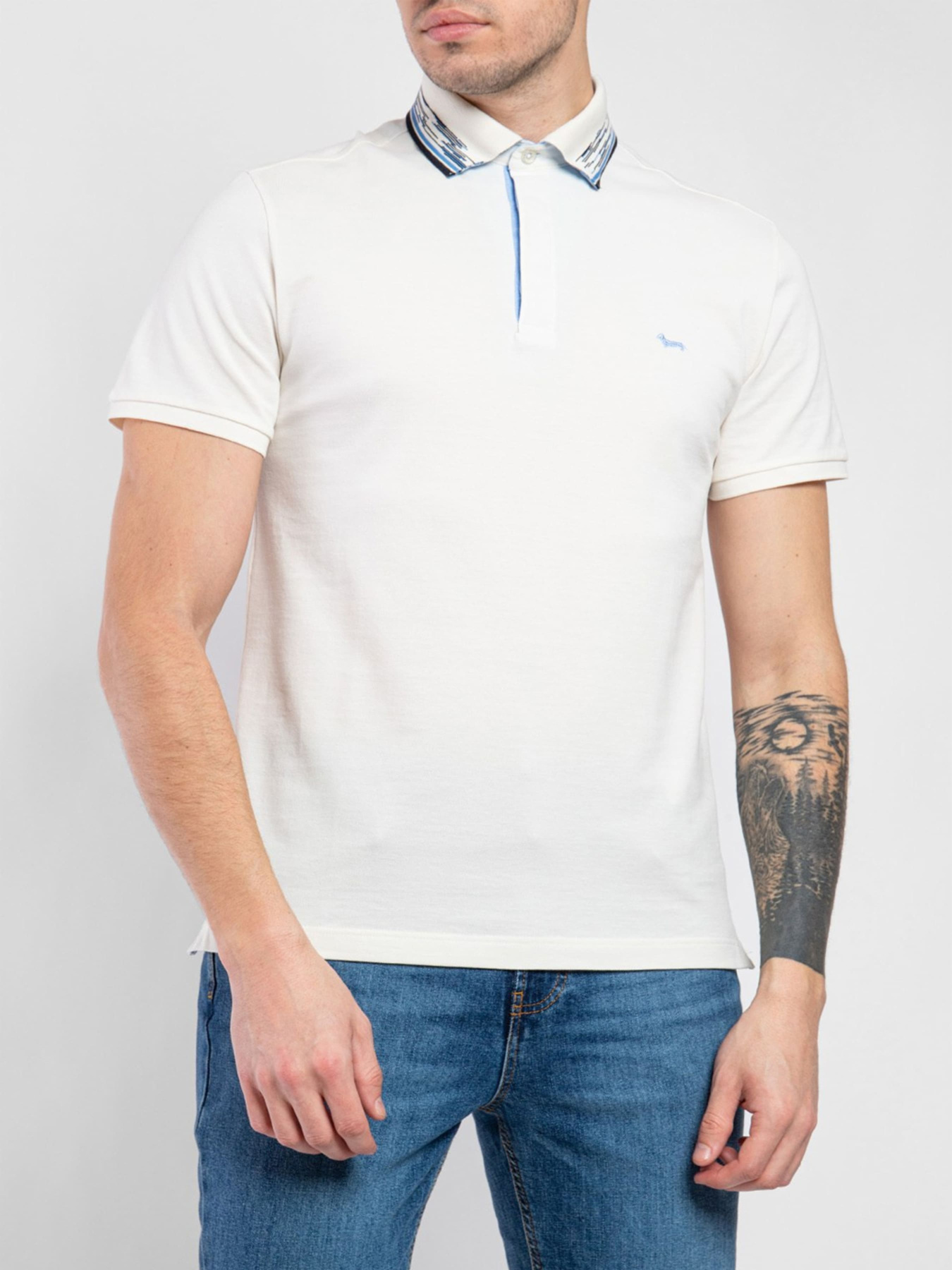 Поло Harmont&Blaine модель LNJ330020004_102 Фото