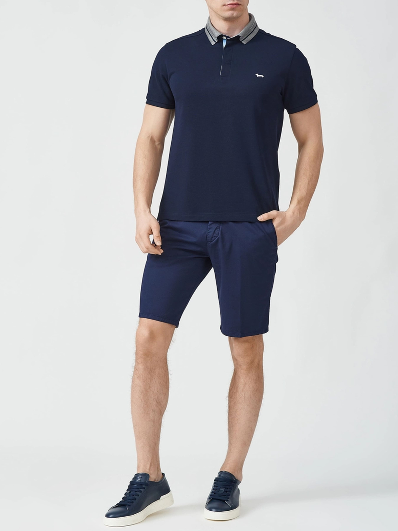 Поло Harmont&Blaine модель LNJ330020004_801 Фото