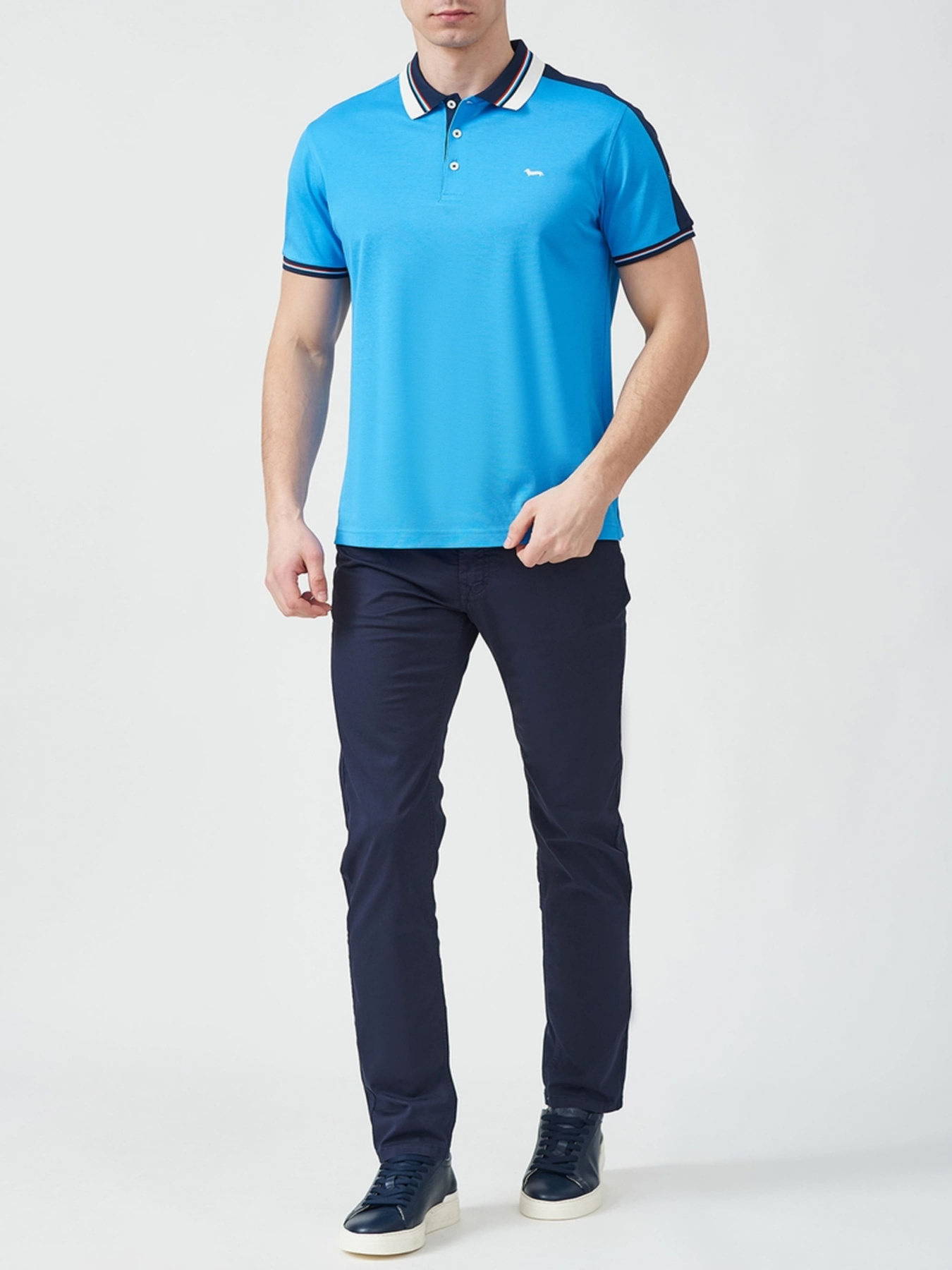 Поло Harmont&Blaine модель LRJ321021215_855 Фото