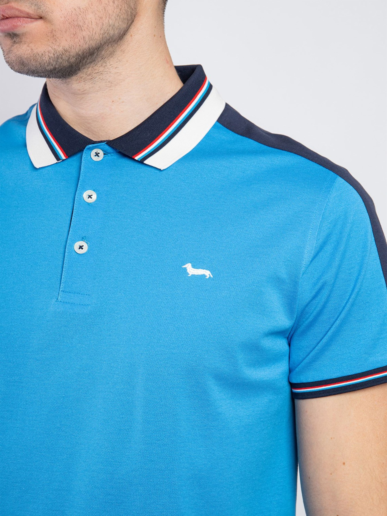 Поло Harmont&Blaine модель LRJ321021215_855 Фото