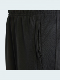 Повсякденні штани Adidas Adicolor модель HK9695 Фото