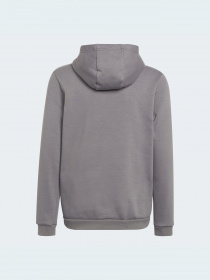 Спортивная кофта Adidas модель H57515 Фото