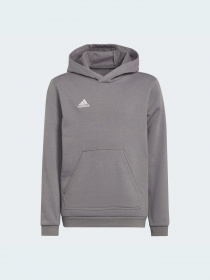 Спортивная кофта Adidas модель H57515 Фото