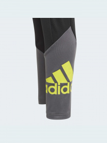 Леггинсы спортивные Adidas модель GN1439 Фото