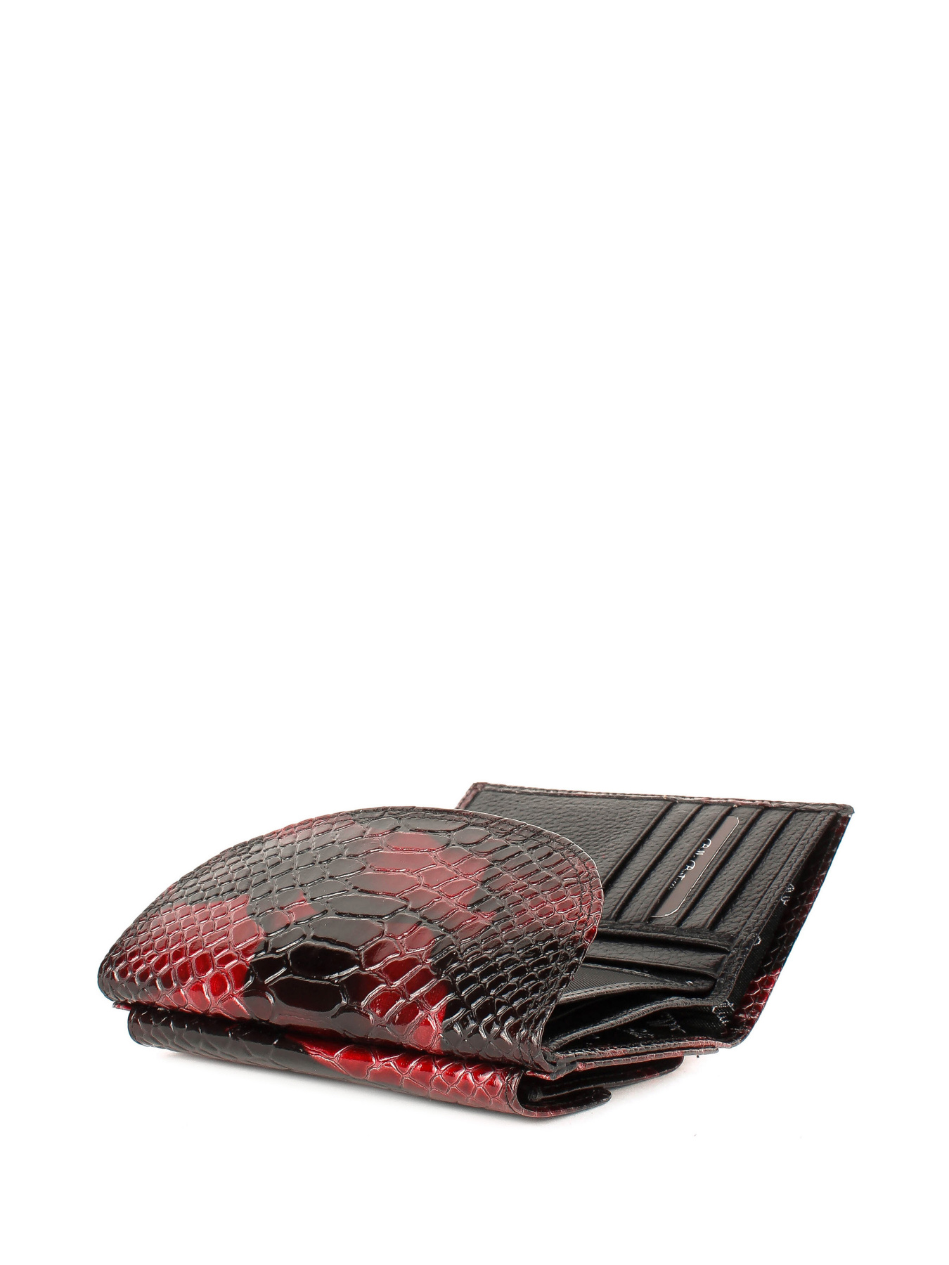 Кошелек Bella Bertucci модель 034-950 Фото