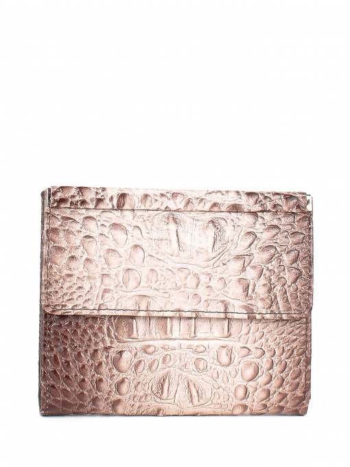 Кошелек Bella Bertucci модель 105-830 Фото