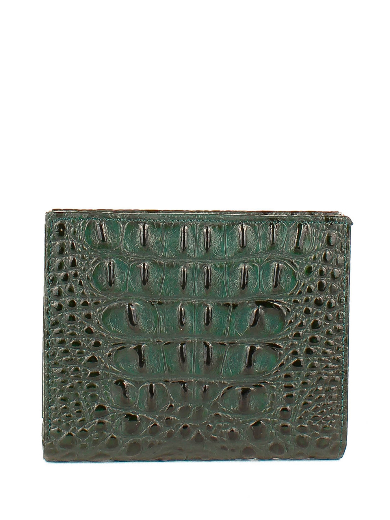 Гаманець Bella Bertucci модель 105-908 Фото